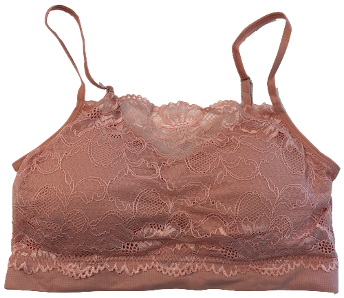 fitted Lace Coverage Padded Bra